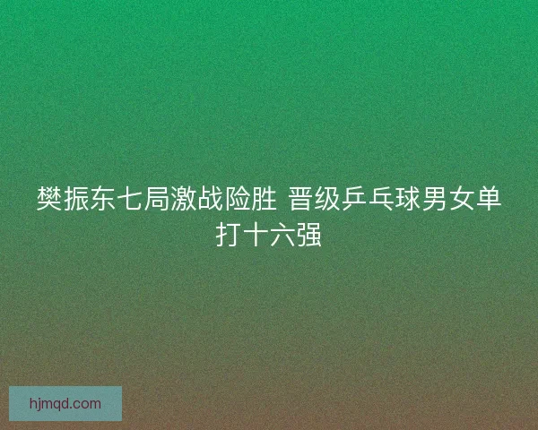 樊振东七局激战险胜 晋级乒乓球男女单打十六强